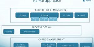 Integrated change and system implementation approaches